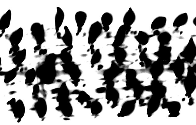 COMPOSICION VLAS.SIN TITULO.