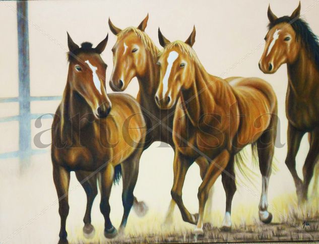 Caballos Oil Canvas Animals