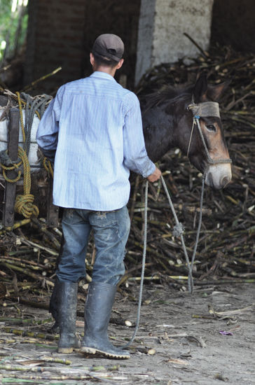 Are burra arre! Photojournalism and Documentary Color (Digital)