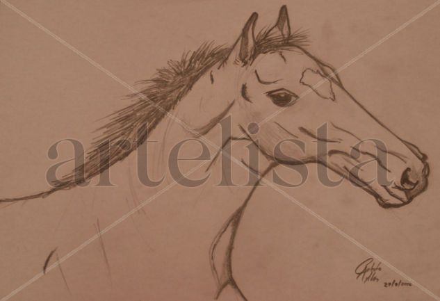 Caballo perfil Pencil