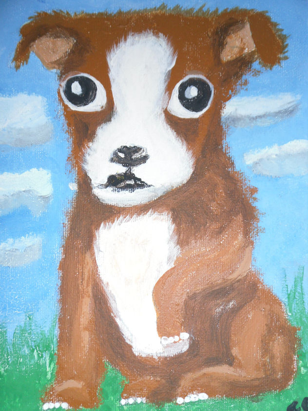 PERRITO