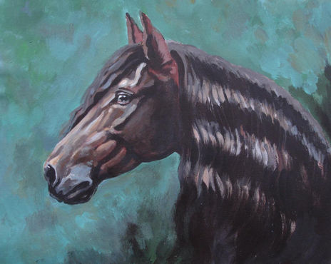 Lusitano