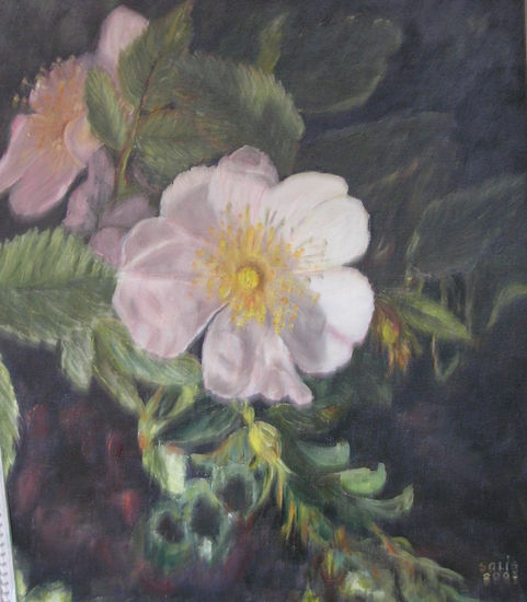 Flor de cerezo Oil Canvas Floral Painting