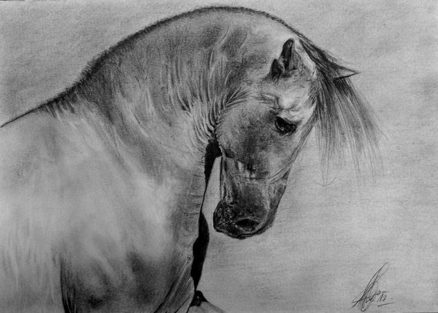 Cabeza de Caballo Pencil