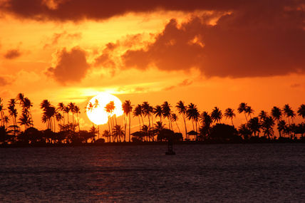 Img_001 isla de...