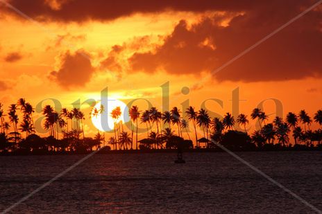 Img_001 isla de...