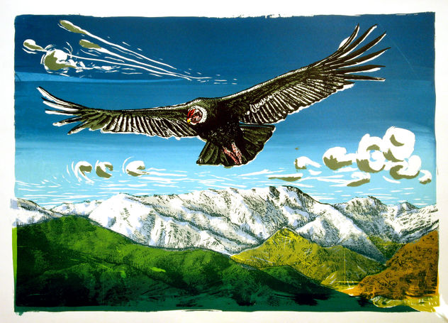 condor