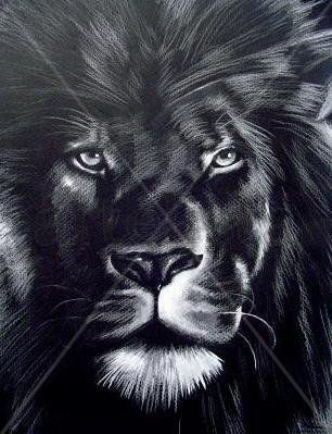 Leon Africano