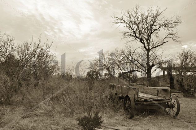 Van dejando los troncos muertos(carreta) Architecture and Interiorism Black and White (Digital)