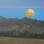 Al Natural thumbnail 1