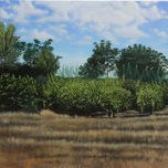 Paisajes cercanos thumbnail 2