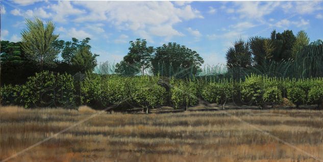 Los arboles de Almohajar Oil Canvas Landscaping