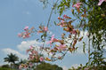 Nubes de colores