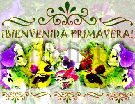 ¡Bienvenida...