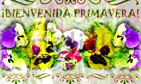 ¡Bienvenida Primavera!