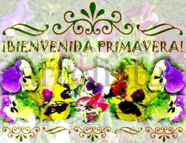 ¡Bienvenida Primavera! I
