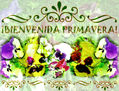 ¡Bienvenida Primavera! II