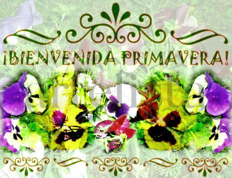 ¡Bienvenida...