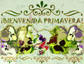 ¡Bienvenida Primavera! III
