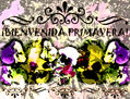 ¡Bienvenida Primavera! V