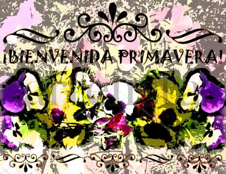 ¡Bienvenida...