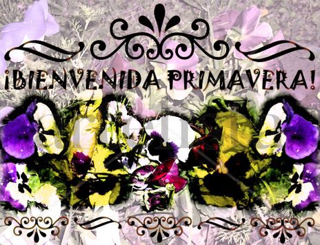 ¡Bienvenida...