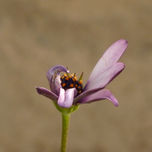 fotografia thumbnail 2