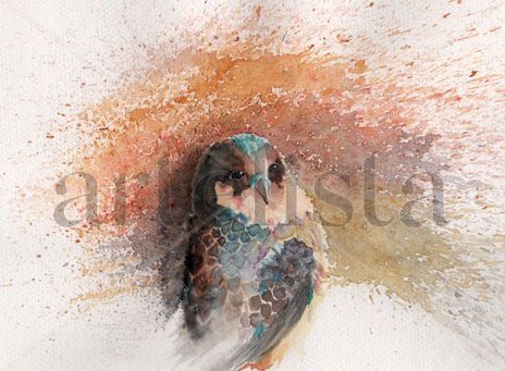 Pajarillo