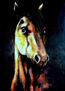 caballo