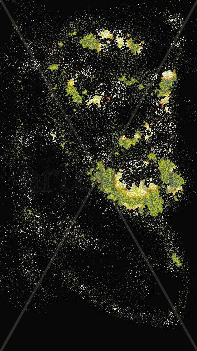 Universe face