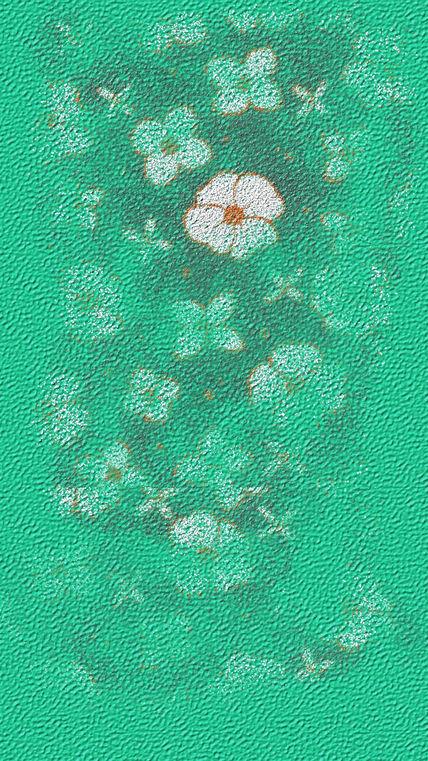 Ramo de flores