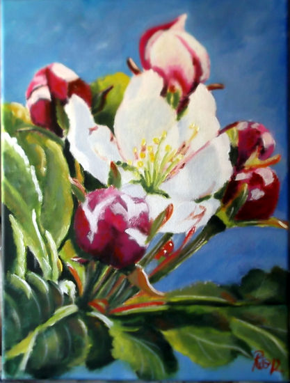 Flor manzano Oil Canvas Floral Painting