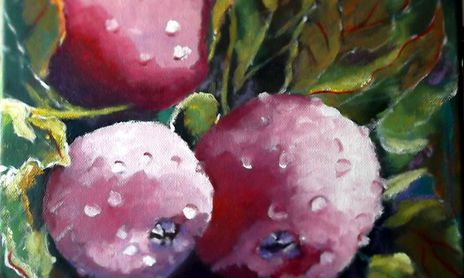 Frutos