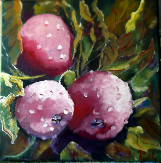 Manzanas Oil Canvas Still Life Paintings