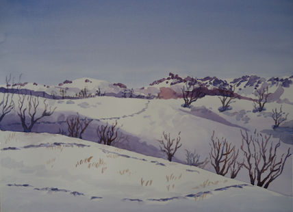 Nevados 1