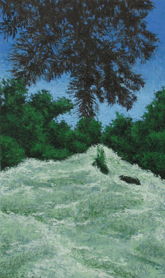 Rio preto em Mauá Mixed media Panel Landscaping