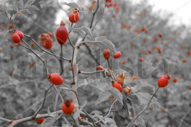 naturaleza tóxica