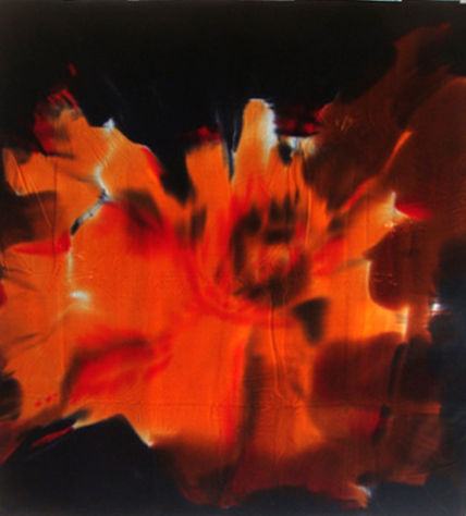 Flor naranja