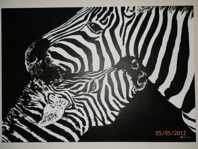 Cebras Acrylic Canvas Animals