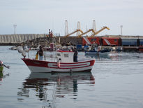 Barco pesquero