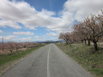 Camino solitario