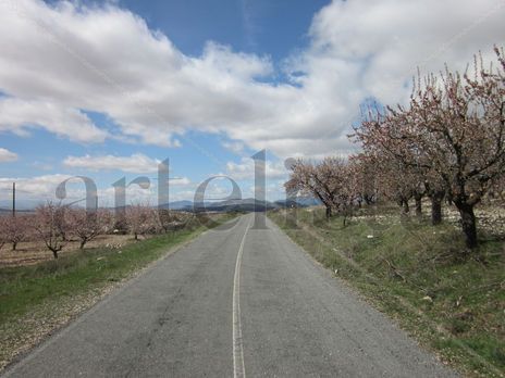 Camino solitario