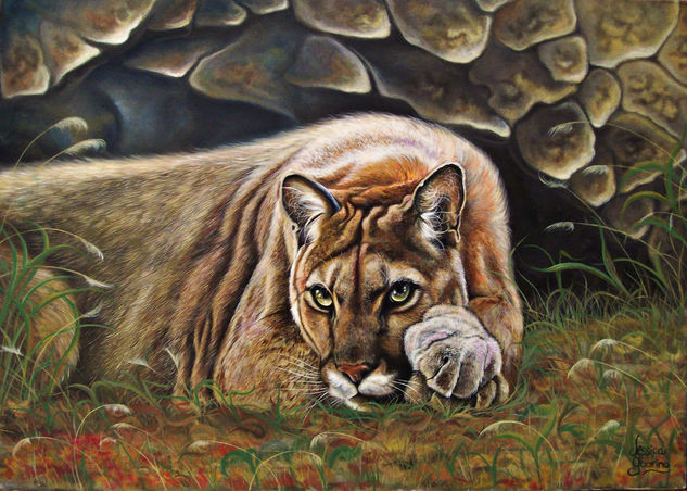 Puma en la madriguera Oil Canvas Animals