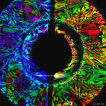 METAMORFOSIS thumbnail 1