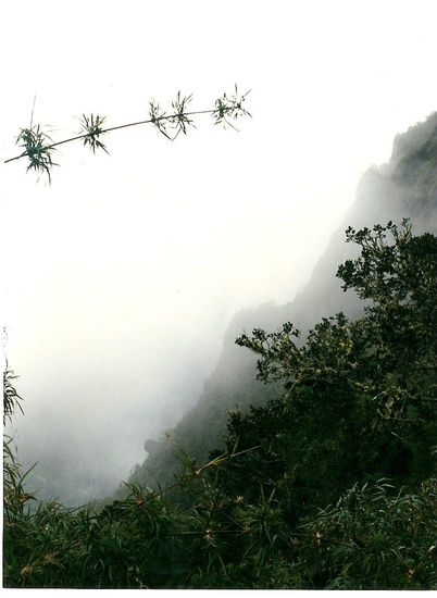 Camino del inca l 