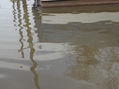 reflejo