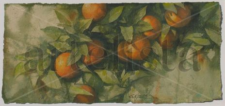 Naranjas