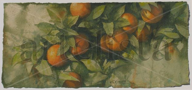 Naranjas Watercolour Paper Still Life Paintings