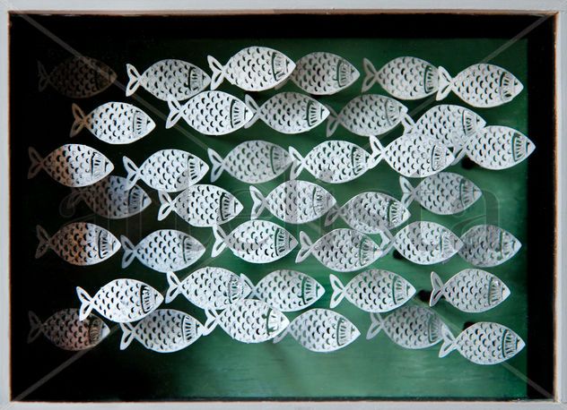 La alegría de los peces