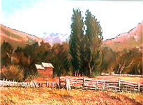 "alamos andinos"